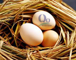 An gi giam can nhanh nhat hinh anh 3